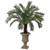 65 Cycas Plant In Urn Uv Resistant Indoor Outdoor 6879 By Nearly Natural