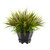 15 Grass With Planter 6892 By Nearly Natural