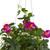 30" Petunia Hanging Basket 6945 By Nearly Natural