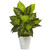 22 Dieffenbachia In Swirl Ceramic 6955 By Nearly Natural