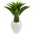 3 Agave Artificial Plant In White Planter 8094 By Nearly Natural