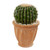19 Cactus Artificial Plant In Terra Cotta Planter 8124 By Nearly Natural