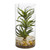 12 Air Plant Artificial Succulent In Glass Vase 8145 By Nearly Natural