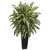 35 Aglonema Artificial Plant In Black Planter 8173 By Nearly Natural