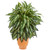 34 Aglonema Artificial Plant In Terra Cotta Planter 8195 By Nearly Natural
