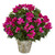 21 Bougainvillea Artificial Plant In Weathered Oak Planter 8402 By Nearly Natural