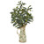 23 Olive Artificial Plant In Floral Pitcher 8468 By Nearly Natural