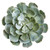 13" Giant Echeveria Succulent Plant In Terra Cotta Planter 8475 By Nearly Natural