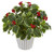15 Variegated Holly Leaf Plant In Vase Real Touch 8698 By Nearly Natural