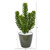 25" Succulent Artificial Plant In Green Planter 8756 By Nearly Natural