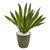 25 Sansevieria Artificial Plant In Decorative Planter 8780 By Nearly Natural