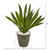25" Sansevieria Artificial Plant In Decorative Planter 8780 By Nearly Natural