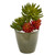 17 Mixed Succulent Artificial Plant In Decorative Planter 8786 By Nearly Natural
