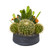 16 Mixed Cactus Artificial Plant In Decorative Bowl 8853 By Nearly Natural