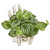 8 Watermelon Peperomia Plant In Chair Planter Real Touch 8868 By Nearly Natural