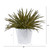 13" Aloe Artificial Plant In White Embossed Planter 8896 By Nearly Natural