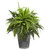 23 Mixed Greens And Fern Plant In Tin Planter With Pattern 8947 By Nearly Natural
