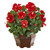 21 Hibiscus Artificial Plant In Decorative Planter 8992 By Nearly Natural