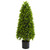 3 Eucalyptus Topiary Artificial Tree Indoor Outdoor 9139 By Nearly Natural