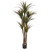 5 5 Giant Yucca Artificial Tree Uv Resistant 9152 By Nearly Natural