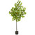 61 Lemon Artificial Tree 9162 By Nearly Natural