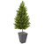 67 Olive Cone Topairy Tree In Planter Uv Indoor Outdoor 9351 By Nearly Natural