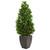56 Bay Leaf Cone Topiary Uv In Planter Indoor Outdoor 9372 By Nearly Natural