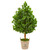 57 Evergreen Artificial Tree In Farmhouse Planter 9377 By Nearly Natural