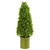 41 Eucalyptus Cone Topiary Tree In Planter Indoor Outdoor 9397 By Nearly Natural