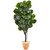 65 Fiddle Leaf Fig Artificial Tree In Terra Cotta Planter 9412 By Nearly Natural