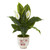 38 Spathifyllum Artificial Plant In Decorative Vase 9414 By Nearly Natural