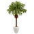 63 Robellini Palm Artificial Tree In White Planter 9428 By Nearly Natural