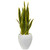 33 Sansevieria Artificial Plant In White Planter 9430 By Nearly Natural