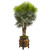 5 Fan Palm Artificial Tree In Decorative Planter 9466 By Nearly Natural