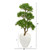 43 Bonsai Styled Podocarpus Artificial Tree In Planter 9472 By Nearly Natural