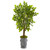 55 River Birch Artificial Tree In Decorative Planter 9532 By Nearly Natural