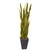 5 5 Sansevieria Artificial Plant In Slate Planter 9549 By Nearly Natural