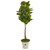 67 Rubber Leaf Artificial Tree In Planter Real Touch 9565 By Nearly Natural