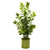 38 Zamioculcas Artificial Plant In Green Planter 9567 By Nearly Natural