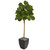 71 Fiddle Leaf Fig Artificial Tree In Black Planter 9577 By Nearly Natural