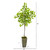 6' Lemon Artificial Tree In Olive Green Planter 9612 By Nearly Natural