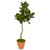 56 Magnolia Artificial Tree In Orange Planter 9657 By Nearly Natural