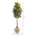 70" Variegated Rubber Tree In Sandstone Planter (Real Touch) 9674 By Nearly Natural
