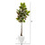 69" Variegated Rubber Tree In White Planter (Real Touch) 9675 By Nearly Natural