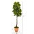 67" Fiddle Leaf Tree In Terra-Cotta Planter (Real Touch) 9692 By Nearly Natural