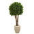 52 Boxwood Topiary Tree In Planter Uv Rest Indoor Outdoor 9695 By Nearly Natural