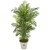 6 Areca Palm Tree In Planter Uv Resistant Indoor Outdoor 9737 By Nearly Natural