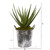 22" Aloe Artificial Plant In Vintage Metal Pail 9779 By Nearly Natural
