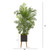 6' Areca Palm Tree In Planter Uv Resistant (Indoor/Outdoor) 9832 By Nearly Natural