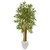 65 Multi Bambusa Bamboo Artificial Tree In White Planter 9868 By Nearly Natural